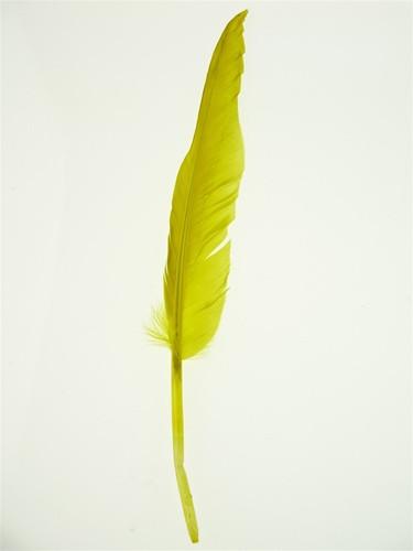 Duck Feather Decorative, 14-inch, 10-Piece, Yellow