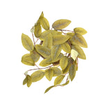 Birch Leaf Candle Ring, 4-Inch