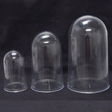 Plastic Dome Display Case w/ Clear Base